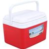 Jwthee Frigo portatile da 5 litri, frigo portatile da picnic