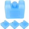 SHINEOFI Ice Box Riutilizzabile 4 Pezzi Blu Plastico, Atmosfera Estiva