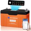 ECO-WORTHY 12V 314Ah EnergyTrek LiFePO₄ Batteria, Bluetooth e Display, Batteria Litio 12V con BMS, Numero Massimo di Cicli 15000, Lifepo4 Ferro Fosfato da 4019Wh, Adatta per Camper e Pannello solare