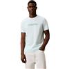 Calvin Klein SS 30s EU SPW Puff Stndrd Graphi Lv04lg809g Magliette grafiche Uomo (Pacco da 1)