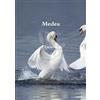 Euripides Medea (Tascabile)