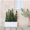 Tekcnoplast Vaso fioriera in resina rettangolare 40x100 Grigio mod. Matera