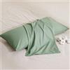 BEDSURE Federe Cuscini 40x60 Cotone - Set da 2, Oeko-TEX, Verde Erba