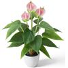 Quancru 42cm Artificiale Anthurium Lily Fiori Artificiali Bonsai Vero Tocco Falso Andraeanum Pianta Decorazione Matrimonio Partito Mostra Cerimonia