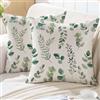 ViaElayu Federe Cuscini Divano 45x45 Eucalipto Cuscino Divano da Esterno Foglie Verde Acquerello Fodere Cuscini Decorativi Copricuscini da Giardino Verde Menta per Federa Cuscino Set di 2