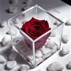 Premium-rose.com Cubo Rosa Rossa Stabilizzata e Profumata da 8 cm con Rosa Rossa Eterna Vera | Idea Regalo Natale,San Valentino Fidanzata, Amica, Compleanno, Bomboniera Laurea | Made in Italy Rosa Rosso - 1080