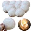 NOLACE Conchiglie Decorative 9-11cm Conchiglia Di Capesante Bianche 10 Pezzi Naturale Conchiglie Decorative Grandi Bianche Conchiglia Capesante Naturale Grandi Dimensioni Confezione