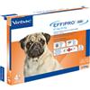 Effipro duo*4pip 2-10kg cani