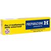 Preparazione h 10,8 mg/g unguento estratto di cellule di saccharomyces cerevisiae