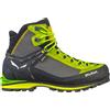SALEWA Pedule Salewa Crow GTX M