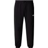 THE NORTH FACE JOGGERS M SIMPLE DOME LIGHT REGULAR