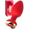 MySecretCase Plug Anale Vibrante Rosa con Telecomando - 10 Modalità USB