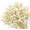 YAXIAO 150 Pezzi Gypsophila Essiccata Fiori Secchi Decorativi Verde,Bianco 6-8cm | Fiori Secchi per Bomboniere Fiorellini per Bomboniere per Nozze Decorazioni,l'artigianato Artistico di Resina,Candele