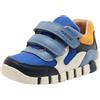 Geox B Iupidoo Boy, First Walker Shoe Bimbo 0-24, Royal Dk Yellow, 19 EU