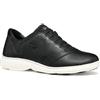 Geox D Nebula 2.0 C, Scarpe da Ginnastica Donna, Black, 35 EU