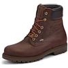 Panama Jack Panama 03 GTX Wool, Anfibi Uomo, Bark C001, 41 EU