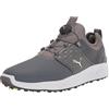 PUMA Ignite Articulate Disc Scarpe da Golf da Uomo, Quiet Shade Silver-Quiet Shade, 41 EU
