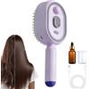 Feixyn Spazzola A Vapore Per I Capelli, Pettine Districante Ricaricabile Con Olio E Misurino, Spazzola Elettrica AVapore, Piastra Per Capelli AVapore Ricaricabile Con Spray Per Mossi Ricci Spessi Lisci Uso