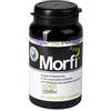 Guerriero MORFI' GOMMOSE