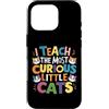 Cool I Teach The Designs Custodia per iPhone 16 Pro Insegno ai piccoli gatti più curiosi insegnante insegnante