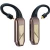 iFi Audio Go Pod Max