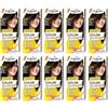 Palette Confezione da 10 shampoo Color 3 - 0 (341) Dark Chocolate Hair Color - Full Box - con istruzioni in lingua inglese (lingua italiana non garantita)