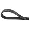 DAYCO 14PK1286HD Cinghia servizi