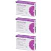 Femifert 28 Capsule 3x15,4 g
