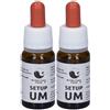 Setup Um 10 Ml Meridian Flowers Remedy ml Gocce orali