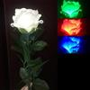 Rebetomo Tre Colori Luce Rose Trucchi Magici Illuminazione Rosa Cambiamento di Colore Fiore Magico Fase di Nozze Illusioni Gimmicks Puntelli Commedia
