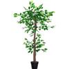 Outsunny Pianta Artificiale per Interni Ø16x120 cm Verde Marrone Nero