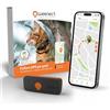 Weenect Cat XS - NUOVO collare GPS per gatti | Il più piccolo sul mercato | Funziona con abbonamento | Collare incluso | Garanzia a vita