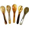 ABOOFAN Cucchiai in Corno O Osso Set 5 Pezzi Cucchiai Da Dessert Riutilizzabili Cucchiaio Da Caffè Vintage Design