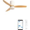 CREATE / WINDCALM S/Ventilatore da soffitto ABS con luce bianco pale effetto legno chiaro con Wifi e telecomando / 40W, Silenzioso, Ø112 cm, 6 velocità, 3 temperature di luce, estate-inverno
