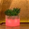 Tekcnoplast Vaso Cube In Resina Quadrato H40 Lampada Rossa 40x40Cm