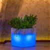 Tekcnoplast Vaso Cube In Resina Quadrato H40 Lampada Azzurra 40x40Cm