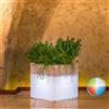 Tekcnoplast Vaso Cube In Resina Quadrato H40 Led Multicolor 40x40Cm