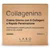 LABO INTERNATIONAL Srl COLLAGENINA CREMA GIORNO3 50ML