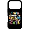 Cool I Teach The Designs Custodia per iPhone 17 Pro Insegno ai piccoli gatti più curiosi insegnante insegnante