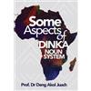 Deng Akol Juach Some Aspects of Dinka Noun System (Tascabile)