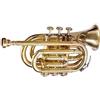 Fatto a mano Tromba sonora tascabile vintage con finitura in ottone 3 valvole Pro Shinning...
