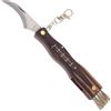 Haller Coltello di chiusura, coltello per funghi, 7 cm,