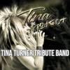 52733 Tina Project - Tina Turner Tribute Band