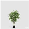 Enzo De Gasperi EDG Enzo De Gasperi Pianta Artificiale Ficus Beniamino Vogue con Vaso H156 cm