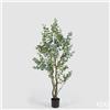 Enzo De Gasperi EDG Enzo De Gasperi Pianta Artificiale Eucalipto Vouge con Vaso H210 cm