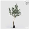 Enzo De Gasperi EDG Enzo De Gasperi Pianta Artificiale Olivo Anti-UV con Vaso H200 cm