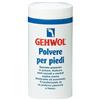 Gehwol polvere per piedi 100 g