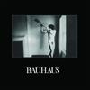 Bauhaus - In The Flat Field - Vinile