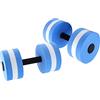 equlup Manubri per Esercizi da 2 Pezzi, Manubri Galleggianti per Acqua da 240G/8,5Oz Eva 15X27Cm/5,9X10,6In Attrezzo Fitness Singolo per Piscine Coperte, Fitness Aerobico, Allenamento di (Blu)