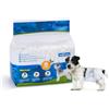 Nobleza Pannolini per Cani USA e Getta Pannolini per addestramento per Cuccioli per Femmine Assorbenti per Animali Domestici Confezione da 12 Pezzi, M